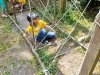 Jeux_antan-7
