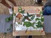Jeu_piste-31